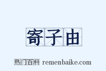 寄子由是什么意思的图片